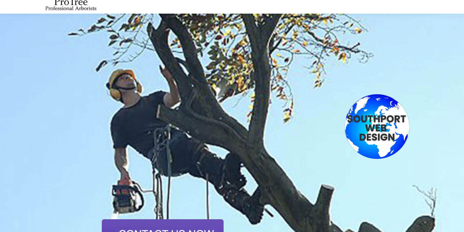 website design Birkdale