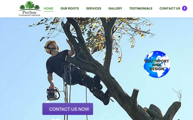 website design Birkdale